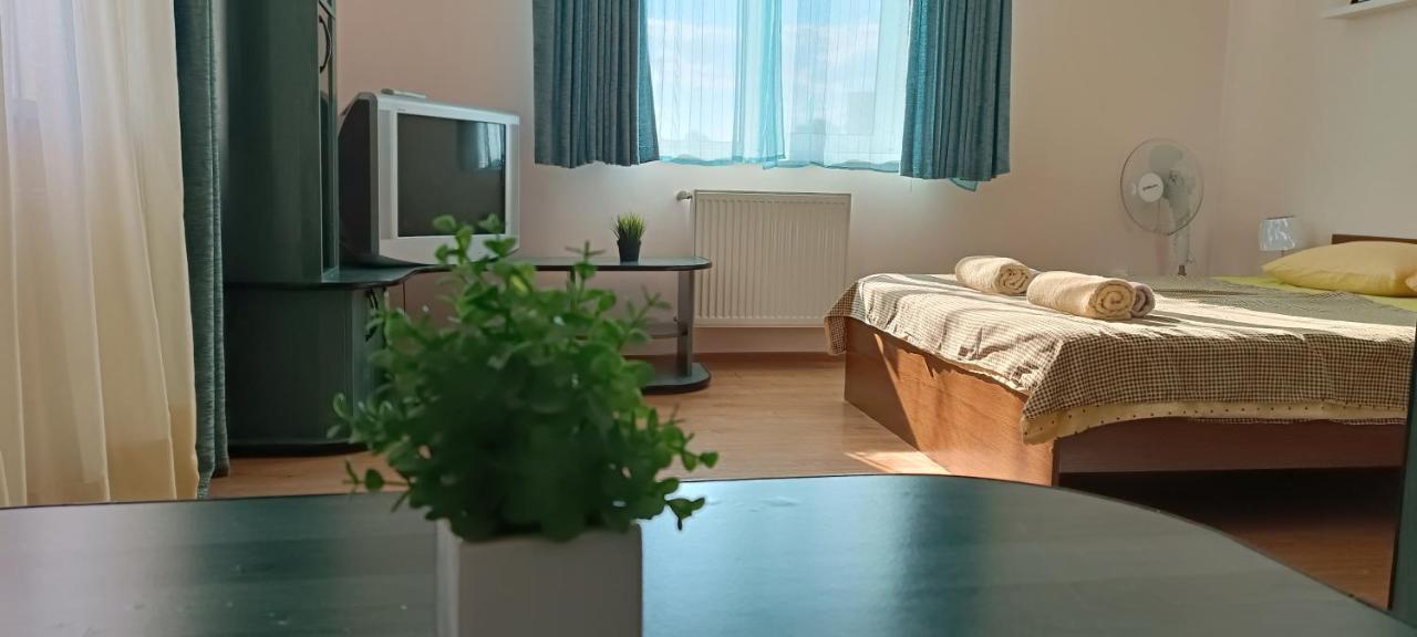 Vip Apartments In The Centre Mukačevo Exteriér fotografie